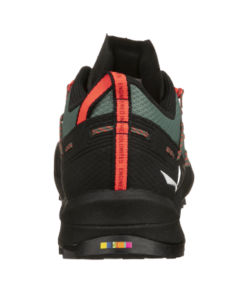 WILDFIRE 2 W (9)