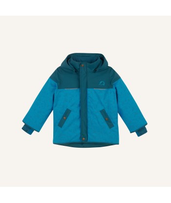 KOIRA ICE (1)