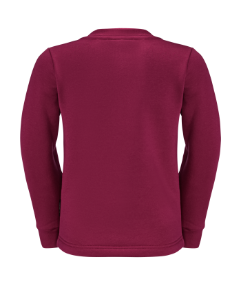 ANIMAL PULLOVER K (1)