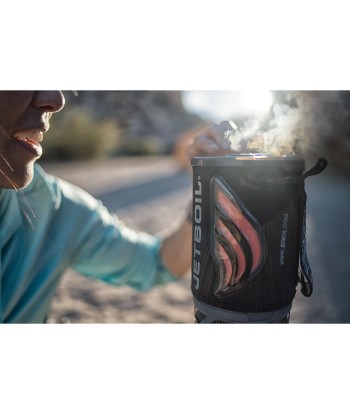 Flash 1.0L (3)