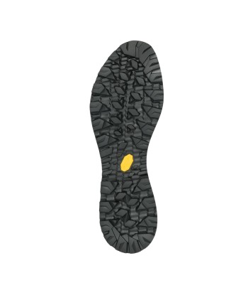 ALTERRA II GTX (1)