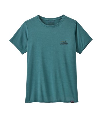 '73 skyline: wetland blue x-dye