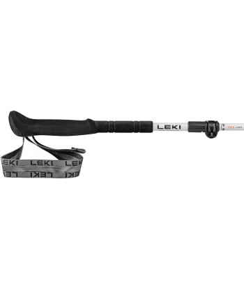 Skytera FX Carbon SL (2)