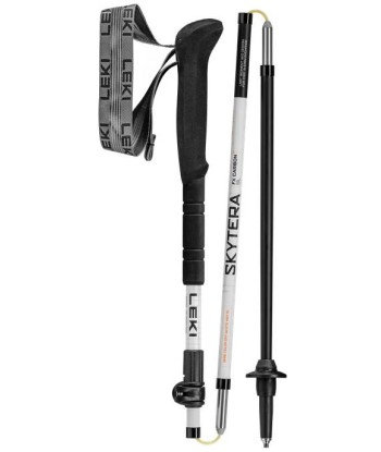 Skytera FX Carbon SL (3)
