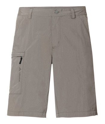 Men's Farley Bermuda V (13)