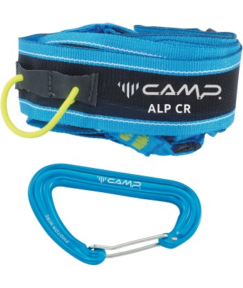 ALP CR (4)