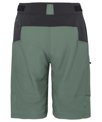 Men's Qimsa Shorts (59)