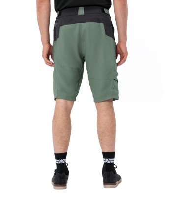Men's Qimsa Shorts (63)