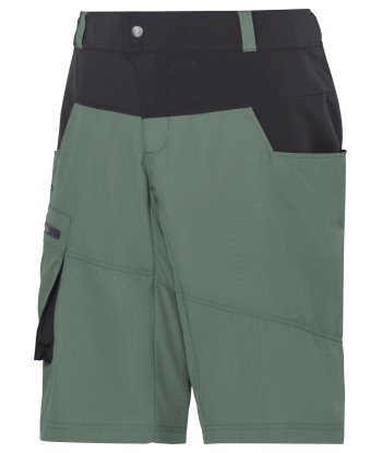 Men's Qimsa Shorts (66)