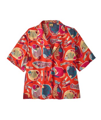 wrasse: pollinator orange