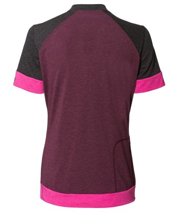 Women's Altissimo Q-Zip Shirt (18)