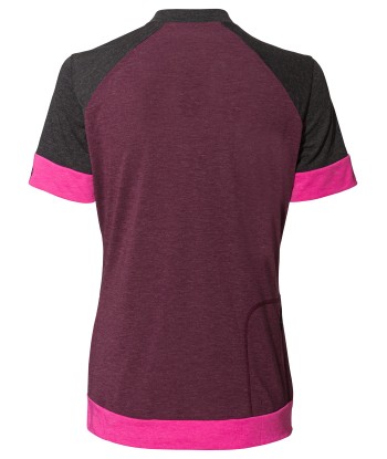 Women's Altissimo Q-Zip Shirt (19)