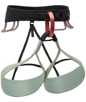 W SOLUTION HARNESS