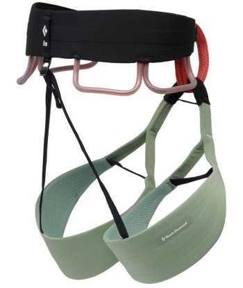W SOLUTION HARNESS (3)