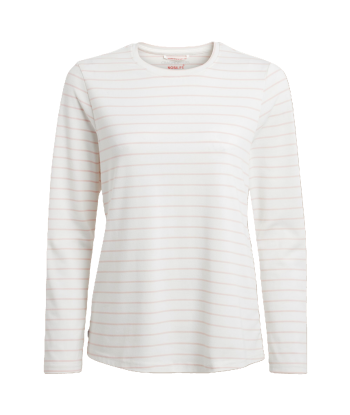 dusky carnation stripe