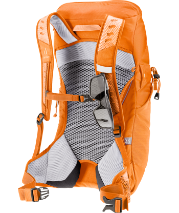 AC Lite 14 SL (4)