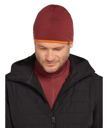 U 200 Oasis Revers Beanie (27)