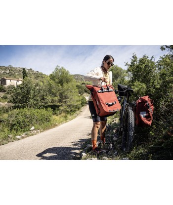 Vario Plus QL2.2 (4)