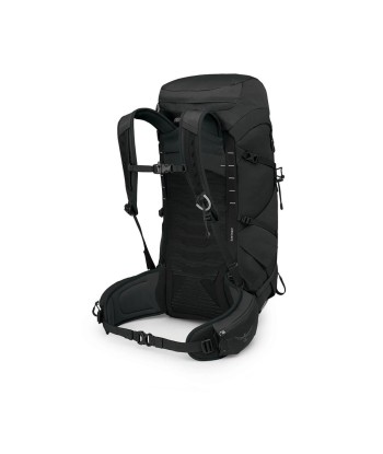 Talon 33 (1)