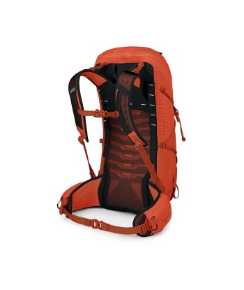 Talon Pro 30 (1)
