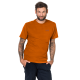 ESSENTIAL T MEN