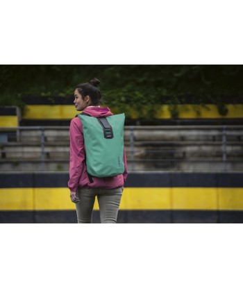 Velocity Lite (2)