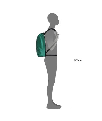 Velocity Lite (3)