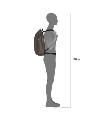 Velocity Lite (1)