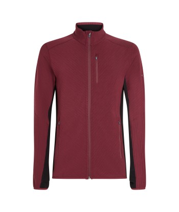 Men Merino Descender LS Zip