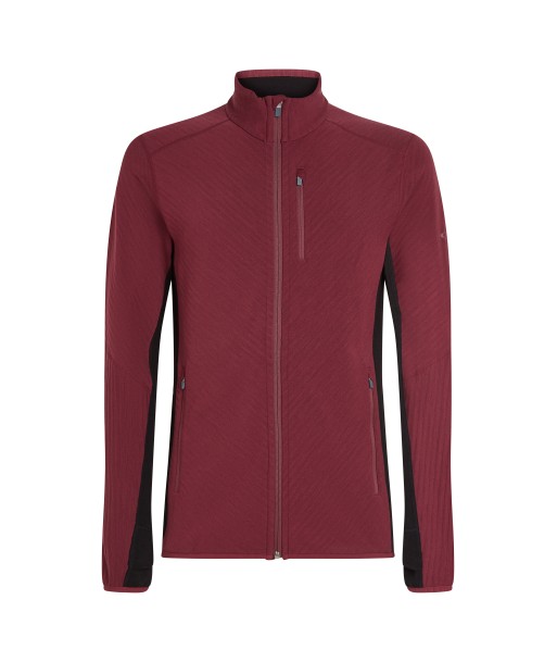 Men Merino Descender LS Zip Hauptbild