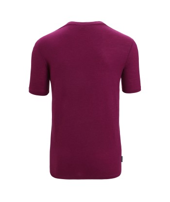 Men Tech Lite II SS Tee Icebreaker (3)