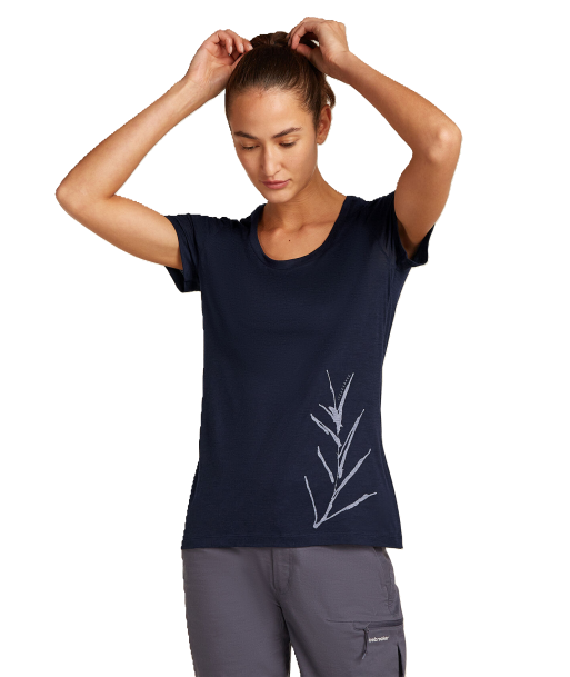 Women Merino 150 Tech Lite SS Scoop Tee Panax Hauptbild