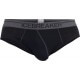 Anatomica Briefs
