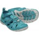 Seacamp CNX Kids