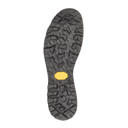 Trekker Pro GTX W's (3)
