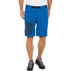 Badile Shorts Men