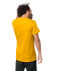 365 T M