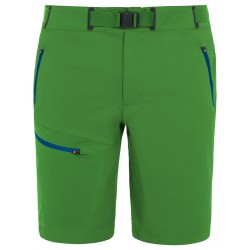 Badile Shorts Men
