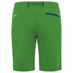 Badile Shorts Men
