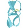 icemint
