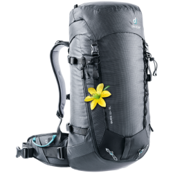Guide 32+ Sl