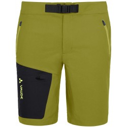 Badile Shorts Men