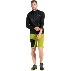 Badile Shorts Men