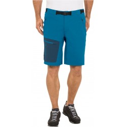 Badile Shorts Men