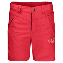 tulip red