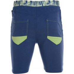 Findus Mens Shorts (1)