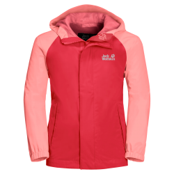 tulip red