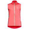 tulip red