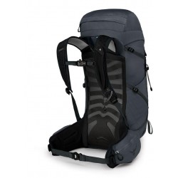 Talon 33 (1)
