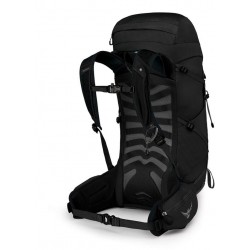 Talon 33 (1)